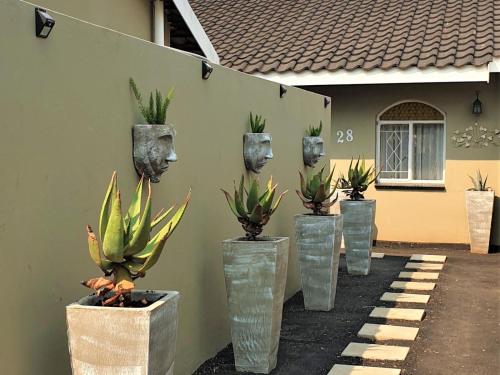 a group of plants in vases on the side of a building at Rudys Guesthouse in Meyerton