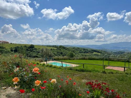 a view of a swimming pool in a field with flowers at Banditella in Orvieto
