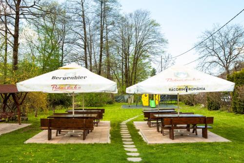 Pensiunea Restaurant Vándorにある庭
