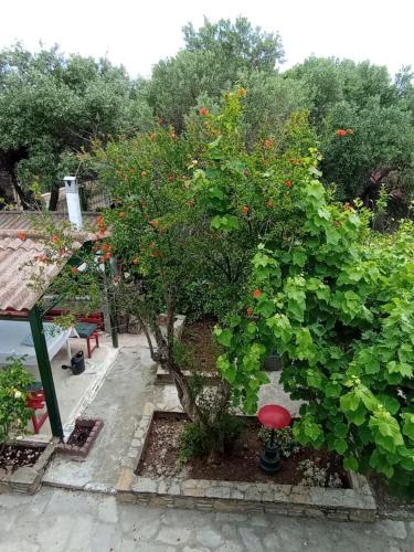 Villa Leah في Yerakiní: حديقة عليها شجرة ورد احمر