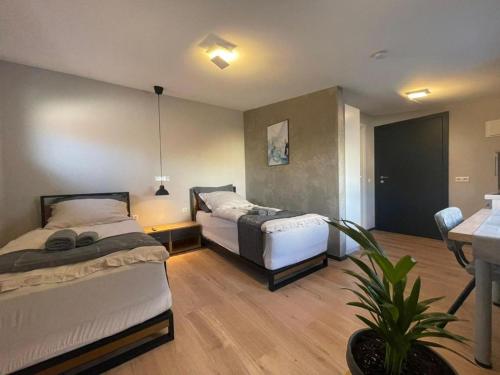 L'Imeri Residence في Reilingen: غرفة نوم فيها سريرين وزرع فيها