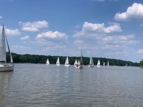 a group of sailboats on a large lake at MAŁY PORT-Iława - Jezioro - Plaża - Marina priv - 5 pokoi VIP - czysto na 10 in Iława