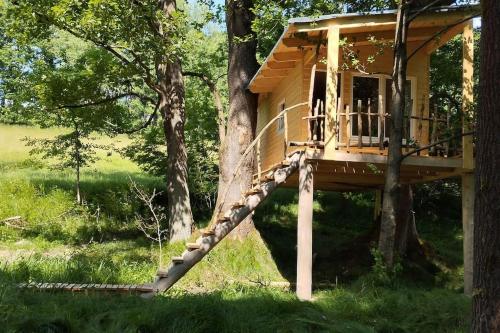 a tree house in a tree at Treehouse LEA in Mikulášovice