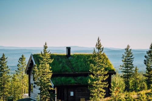 a house with a green roof with trees at Idre Himmelfjäll Resort in Idre