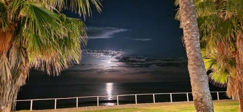 a view of the ocean at night with palm trees at Magnificas vistas al mar in Oropesa del Mar