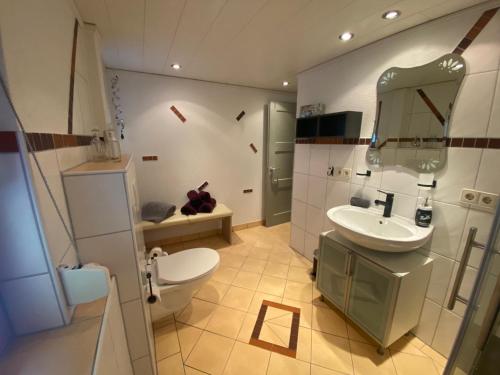 a bathroom with a sink and a toilet and a mirror at Im Salzgässle in Schonach