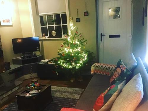 a living room with a christmas tree and a couch at Holly cottage Wold Newton, near Yorkshire coast in Wold Newton