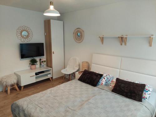 1 dormitorio con 1 cama, TV y silla en Sielankowo, en Wisła