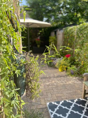 a garden with a patio with plants and a table at The East Wing Bloemendaal in Bloemendaal