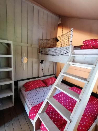 une chambre avec deux lits superposés et une échelle dans l'établissement Tente RENARD 5 PERSONNES CAMPING LOU CANTOU CEVENOL, à Anduze