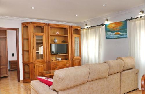 een woonkamer met een bank en een televisie bij Apartamento Acuario in Conil de la Frontera