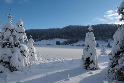 a snow covered field with trees and a lake at Ecolodge, bain nordique, petit dejeuner in Fort-du-Plasne