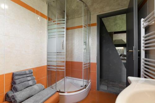 a bathroom with a shower and a toilet and a sink at Apartman Ela Vi in Kršan