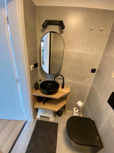 a bathroom with a sink and a mirror at Friends in Bořetice