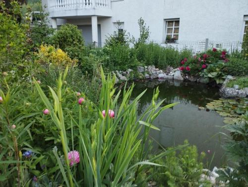 a pond in a garden in front of a house at Haus Maria in Neubach