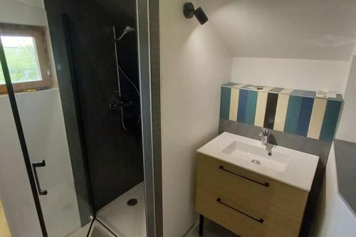 une salle de bain avec un lavabo et une douche dans l'établissement Le clos de Silleron, à Angiens