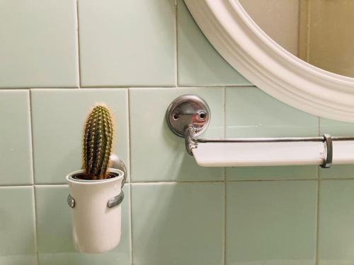 a cactus in a pot on a bathroom wall at La Casetta in Portovenere