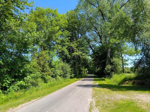 a dirt road with trees on both sides at Ferienwohnung zwischen den Meeren - schöne und gemütliche FeWo mit Garten in Dörpstedt