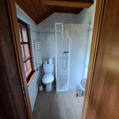 a small bathroom with a toilet and a shower at Domek wycieczkowy in Mosty