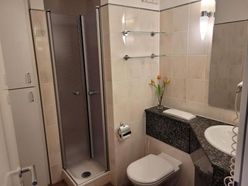 a bathroom with a shower and a toilet and a sink at Ferienwohnung Abendstimmung in Dewichow