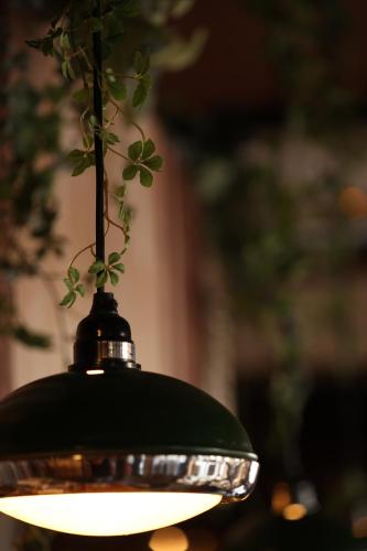 a black light with a plant hanging from it at 帝塚山忍者屋敷 in Osaka