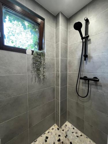 a bathroom with a shower with a shower head at Ferienwohnung Terrassenblick in Zülpich