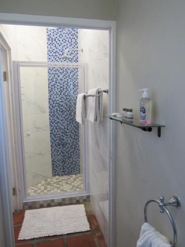 a shower with a glass door in a bathroom at Omega Suite in Gansbaai