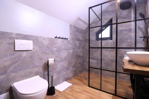 un baño con inodoro y lavabo en Wild Hunts Lodge Retezat, en Raul Mare