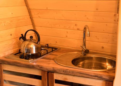 Domek Wilcza Wola 2 في Górzanka: مطبخ مع حوض وغلاية شاي على كاونتر