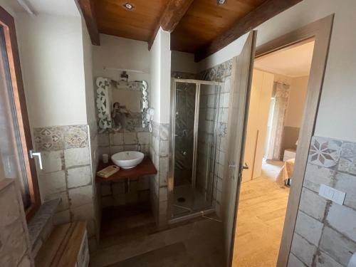 a bathroom with a shower and a sink at Le casette sugli archi in Sutri