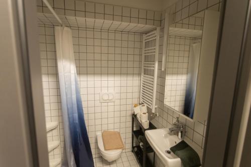 een badkamer met een wastafel, een toilet en een spiegel bij Peaceful Basement Apartment with Terrace & free GYM in Boedapest