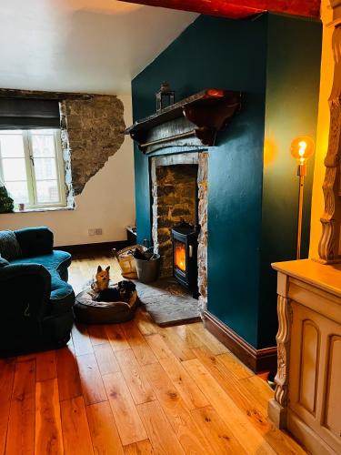 a dog sitting in a living room with a fireplace at Nightingale Cottage in Llantwit Major