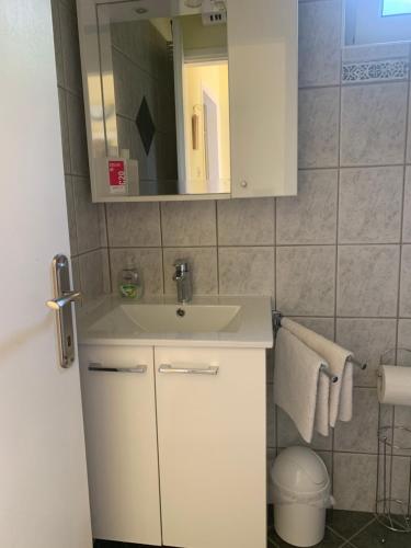 a bathroom with a white sink and a mirror at Apartment Klesinger in Poreč