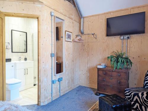 a bathroom with a toilet and a tv on a wall at Moorhen Lodge in Wickham
