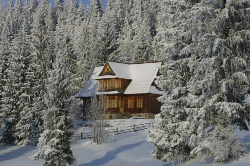 a log cabin in the snow with snow covered trees at Dom na Pawlikach in Rzepiska