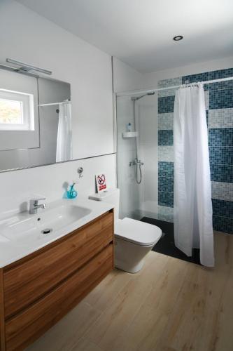 a bathroom with a sink and a toilet and a shower at Mini Loft Tesa in Mácher