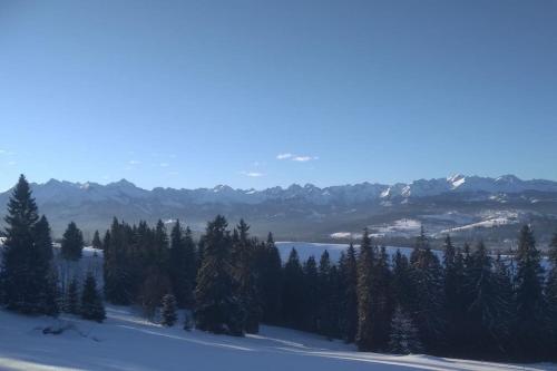 a snow covered hill with trees and mountains in the background at Dom na Pawlikach in Rzepiska