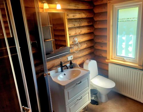 a bathroom with a sink and a toilet and a mirror at Akureyri Log Cottage in Akureyri