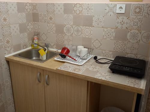 eine Küchentheke mit einer Spüle und einer Mikrowelle in der Unterkunft Bugenvilija in Budva