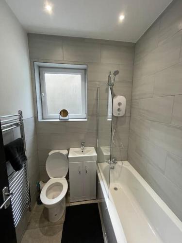 a bathroom with a toilet and a bath tub at The Mount in Swansea