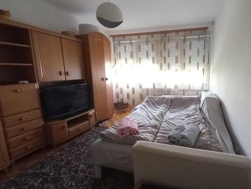 Schlafzimmer mit einem Bett und einem TV in der Unterkunft Cosy apartment Sarajevo in Sarajevo