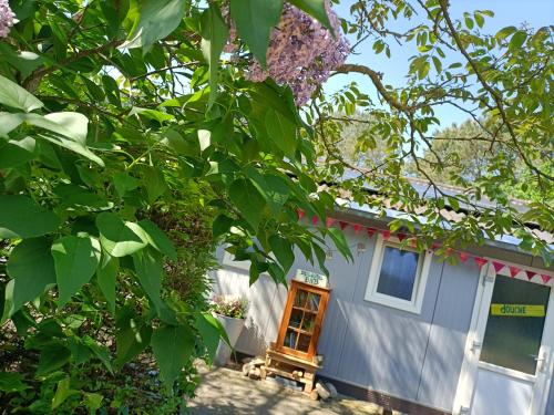 Gallery image of Minicamping Kleintje Zandpol in Zandpol