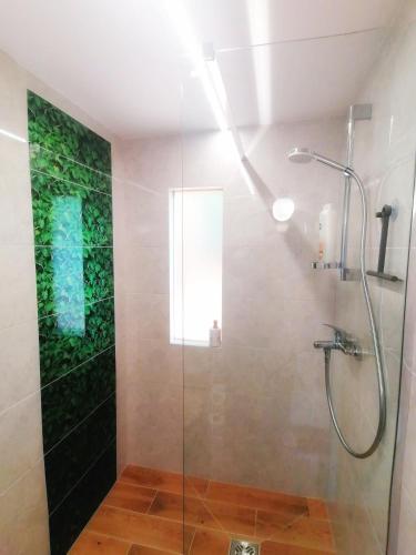 a bathroom with a shower with a glass door at Barkóca és Szépkilátás Vendégház / Cabin in Kismaros