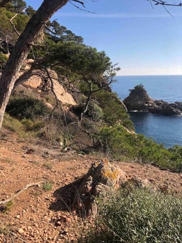 Φυσικό τοπίο κοντά σε αυτή η παραθεριστική κατοικία