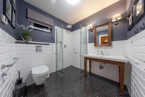 a bathroom with a toilet and a sink and a shower at Osada Ladimorg in Moryń