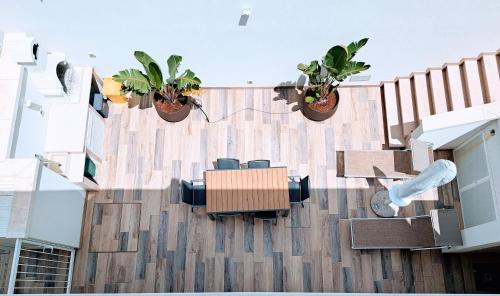 a balcony with potted plants on a building at Pescoluse Apartments in Marina di Pescoluse