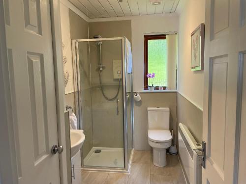 a bathroom with a shower and a toilet and a sink at Wellsfield Farm Holiday Lodges in Stirling