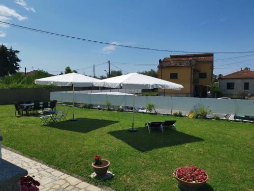 a yard with two white umbrellas and chairs at Villa Flora Affittacamere in Luni