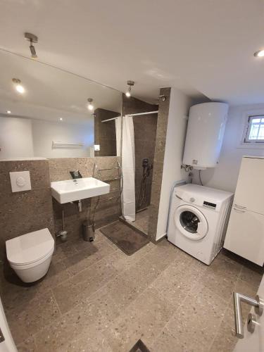 a bathroom with a toilet a sink and a washing machine at Nice 2 bedroom apartment near city center in Rijeka
