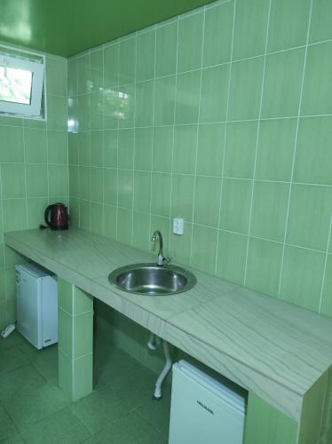 a kitchen counter with a sink in a room at Гостевой дом ИРИНА in Sukhum